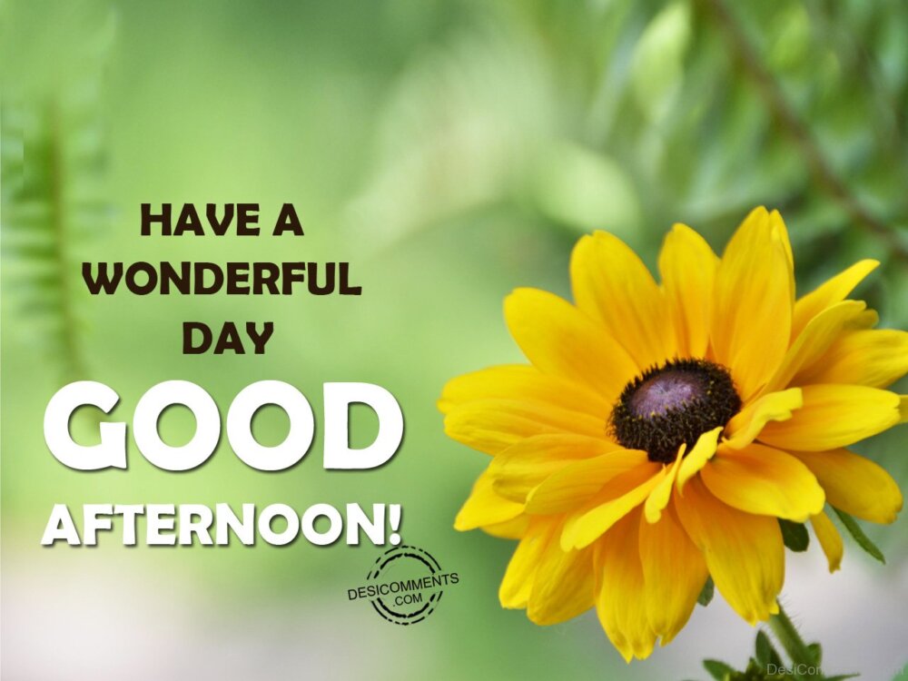 Have A Wonderful Day – Good Afternoon - DesiComments.com