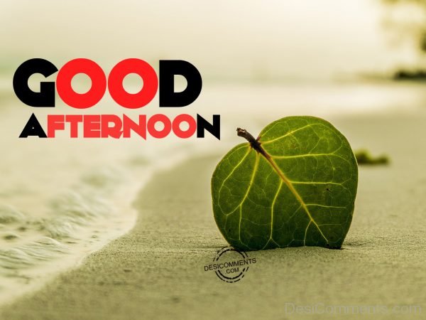 Image Of Good Afternoon 013