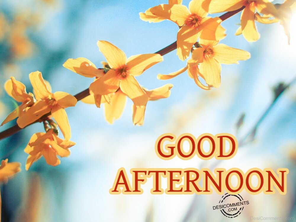 Photo Of Good Afternoon - DesiComments.com
