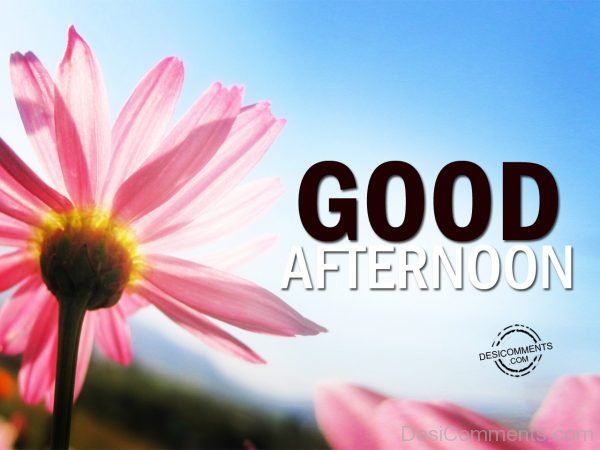 Good Afternoon Pic - DesiComments.com