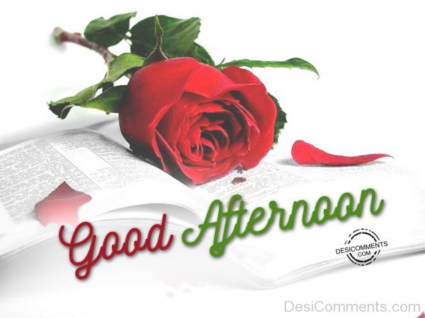 Picture Of Good Afternoon 00