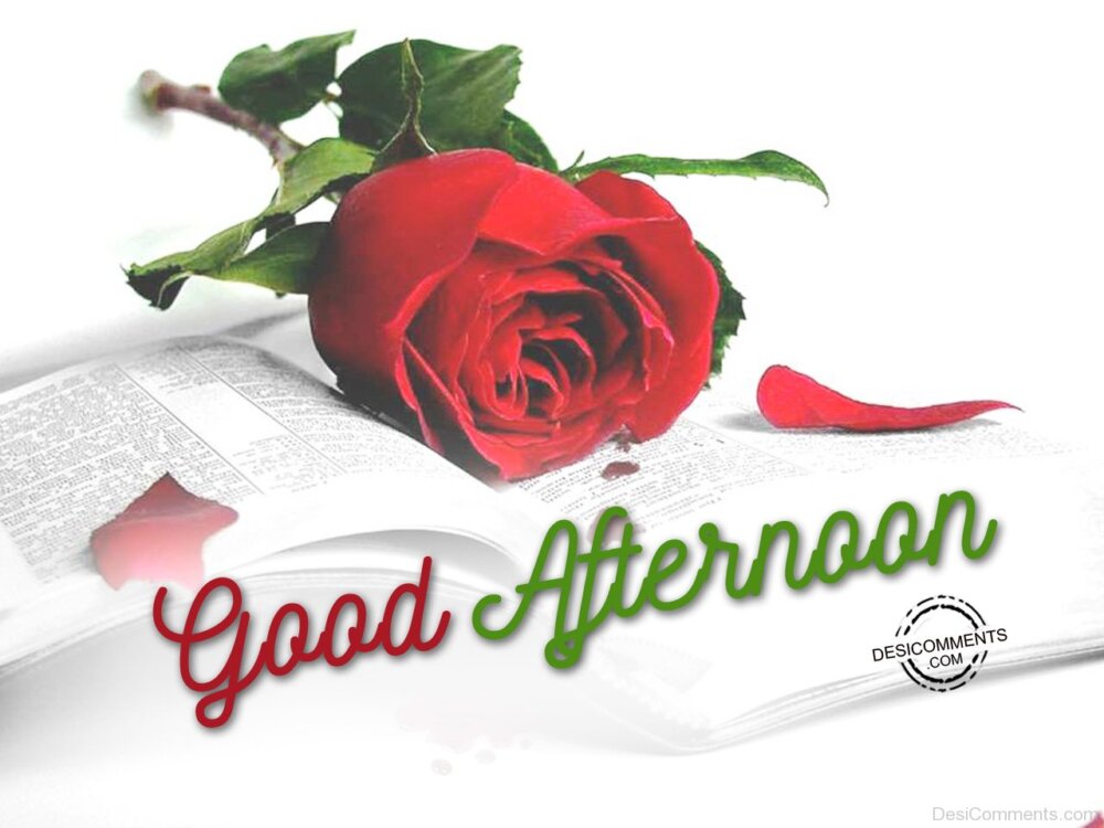 Picture Of Good Afternoon - DesiComments.com