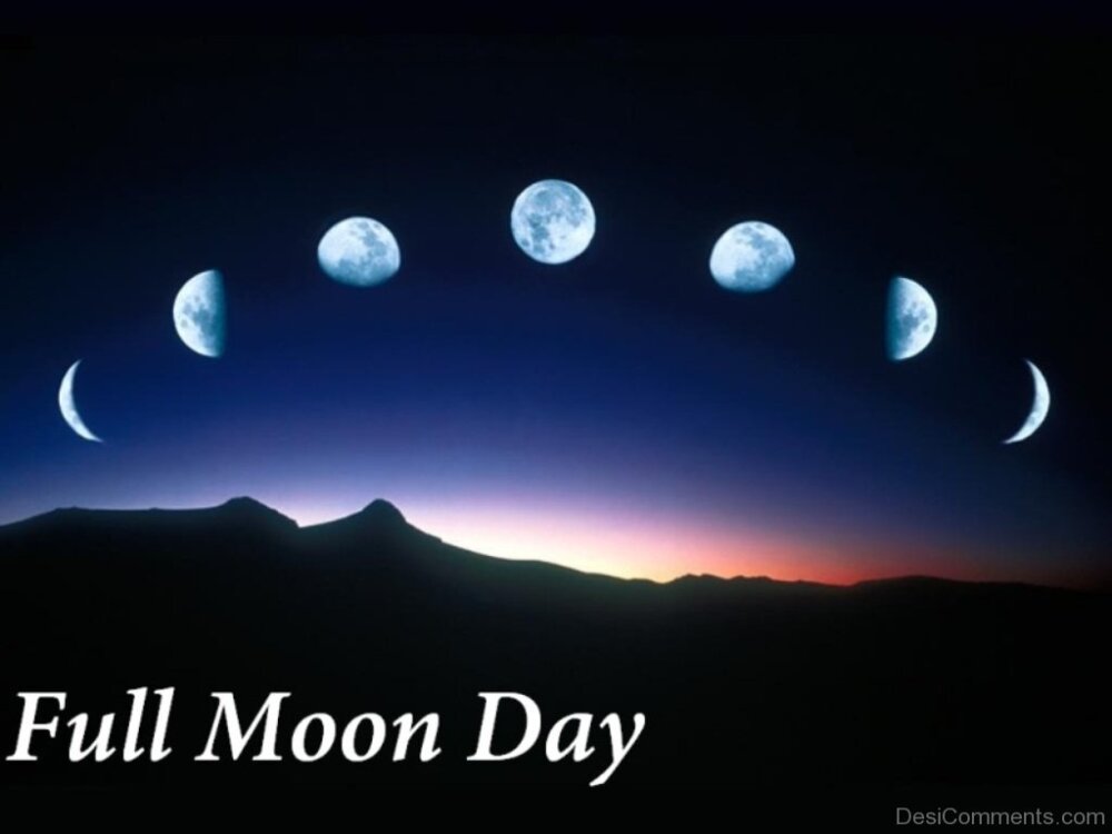 Adorable Pic Of Full Moon Day DesiComments