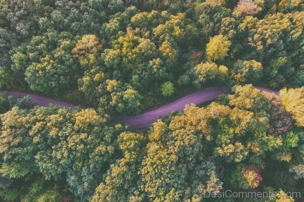 Agriculture Daylight Environment Fall Forest