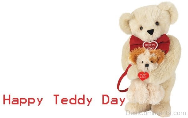Amazing Happy Teddy Day Pic