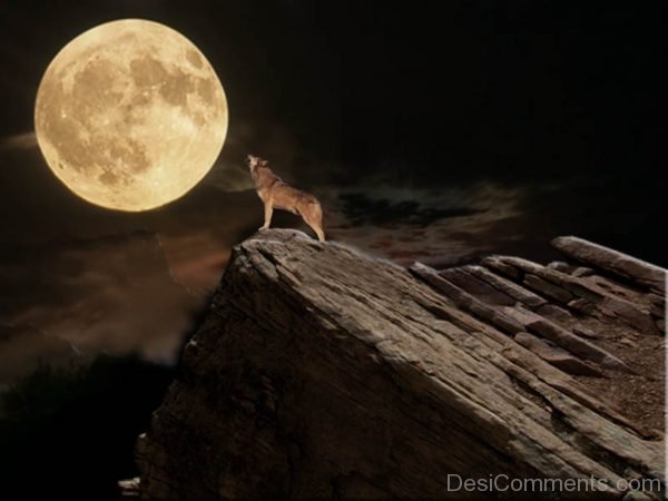 Amazing Pic Of Full Moon Day