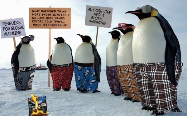 Amazing Pic Of Penguins Awareness Day