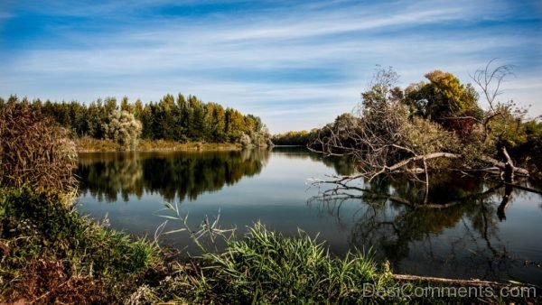 Autumn River Nature Flowing Water