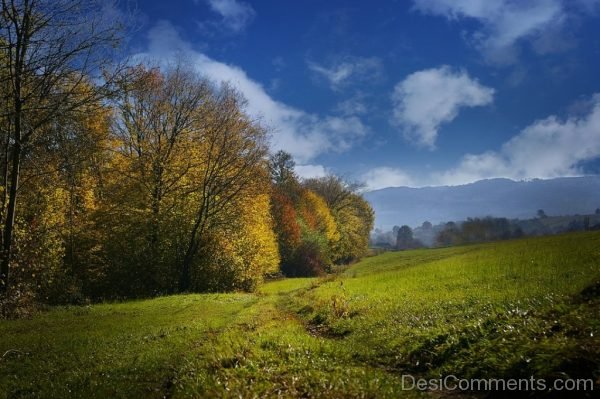 Autumn View Colors The Prospect Of Meadow