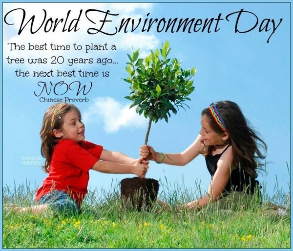 Awesome Image Of World Environment Day