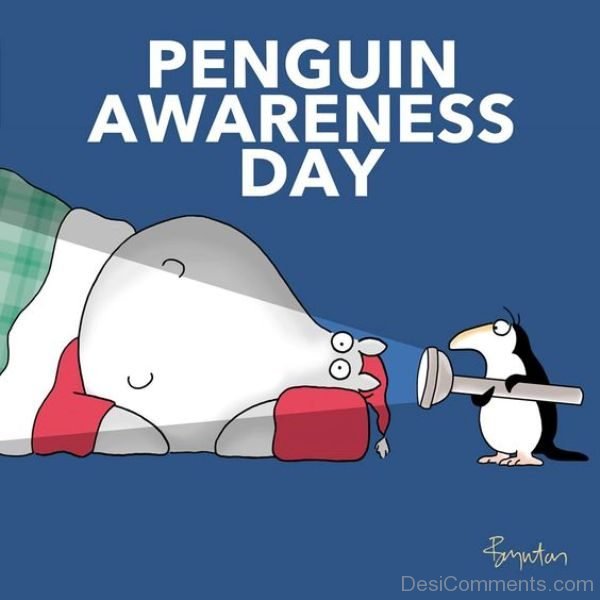Awesome Pic Of Penguin Awareness Day