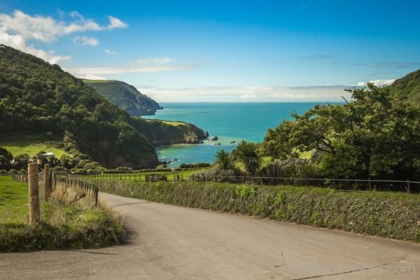 Bay Ocean Nature Coast Devon