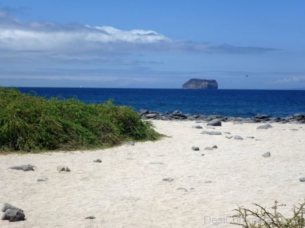 Beach In The Galápagos Islands
