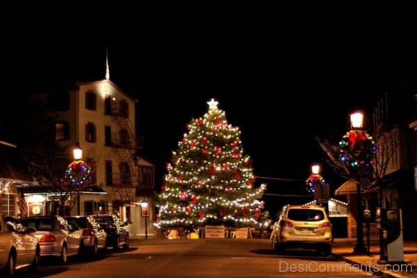 Beautiful Christmas Tree Light Day Photo