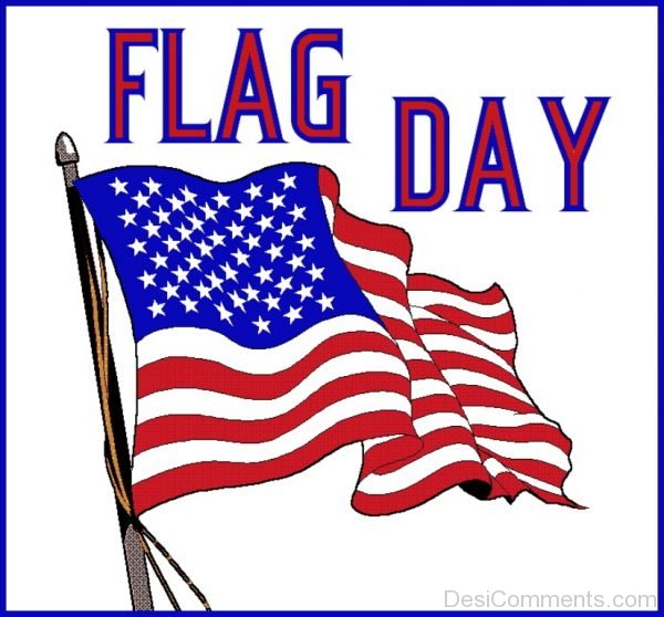 Beautiful Flag Day Pic