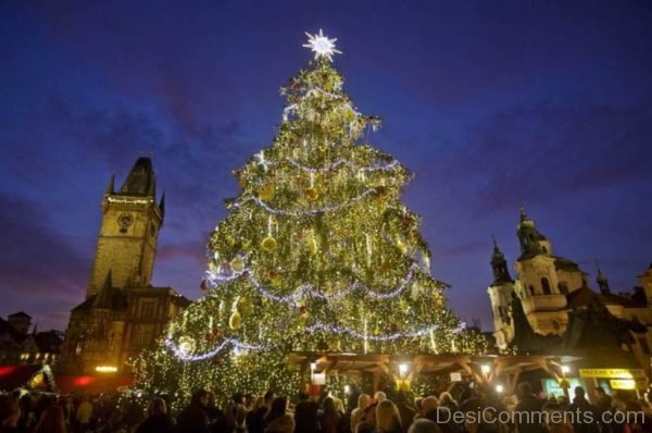 Beautiful Image Of Christmas Tree Light Day