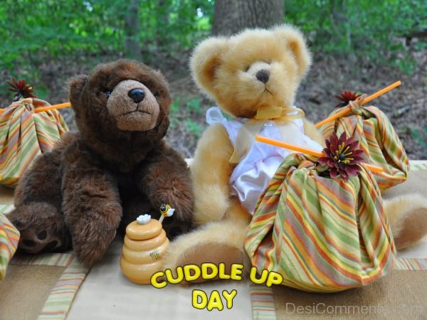 Beautiful Pic Cuddle Up Day