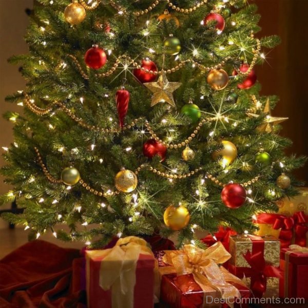 Beautiful Pic Of Christmas Tree Light Day
