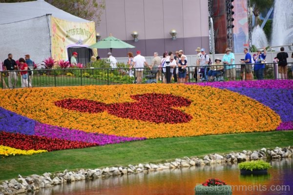 Beautiful Pic Of Gardens Festival