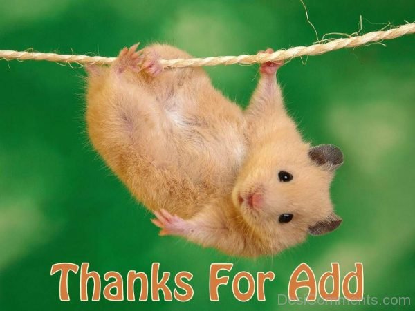 Beautiful Pic Of Thanks For Add