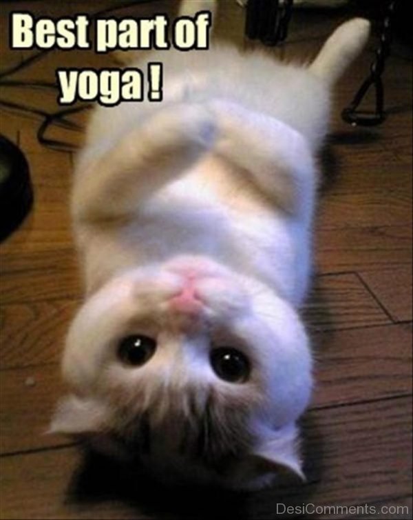 Best Part Of Yoga