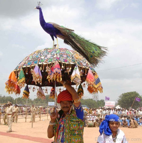 Bhavnath Mahadev Fair In Gujarat