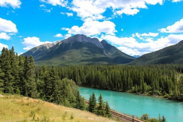 Bow River Banff Alberta Canada Forest Mountain