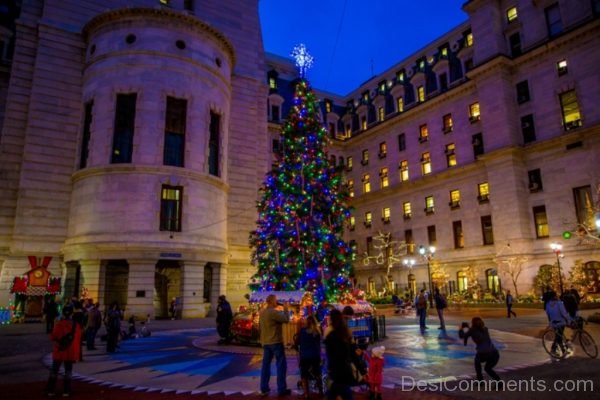 Brilliant Photo Of Christmas Tree Light Day