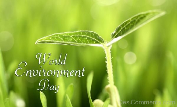 Brilliant Pic Of World Environment Day