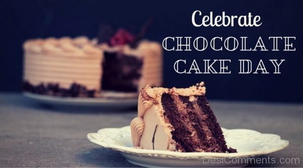 Celebrate Chocolate Cake Day Photo