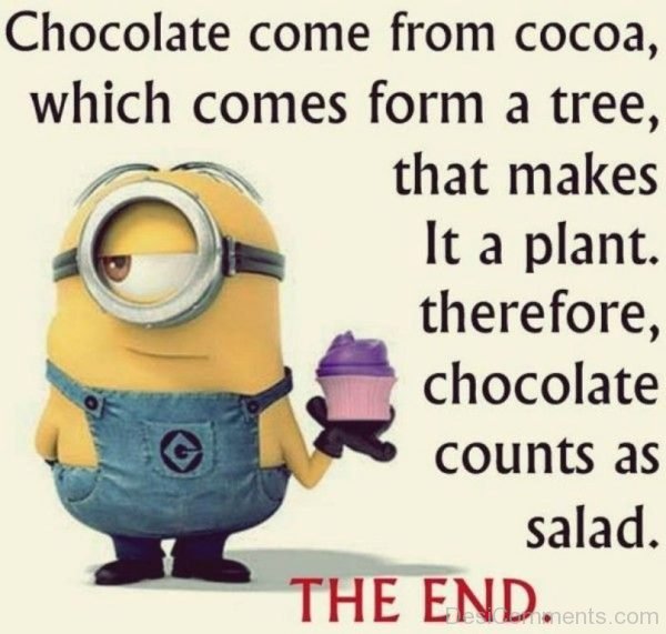 Chocolate Come From Cocoa