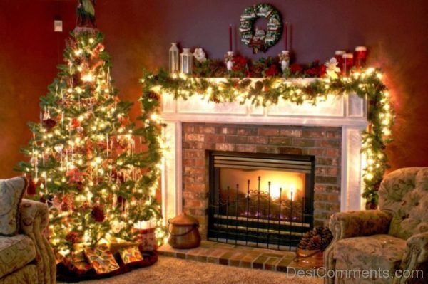 Christmas Tree Light Day – Pic