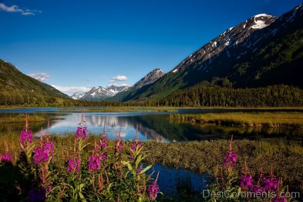 Chugach National Forest Alaska