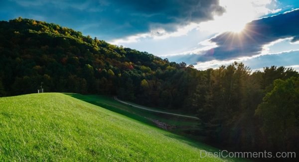 Clouds Forest Grass Landscape Nature