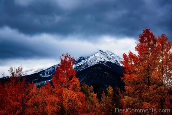 Colorado Fall Autumn Colors Landscape Mountains