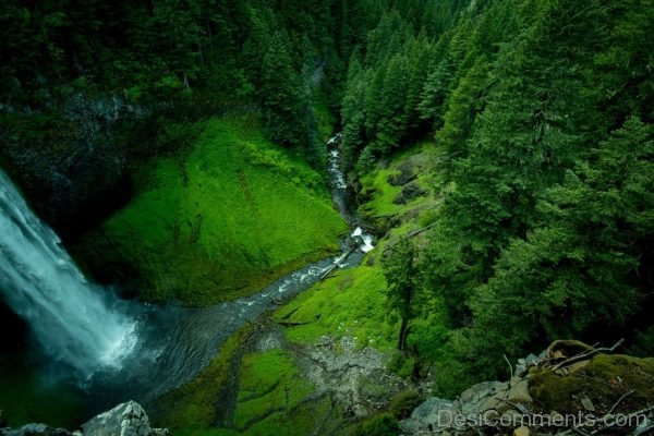 Creek Landscape Moss Mountain