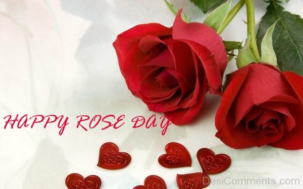 Cute Rose Day Photo