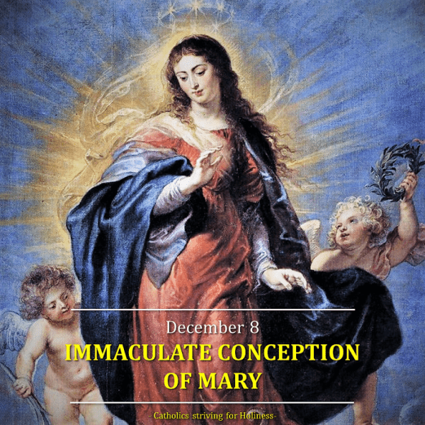 December 8 Immaculate Conception Of Mary