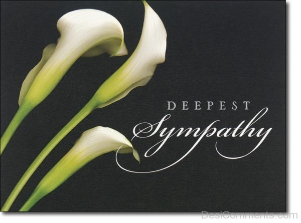 Deepest Sympathy Pic