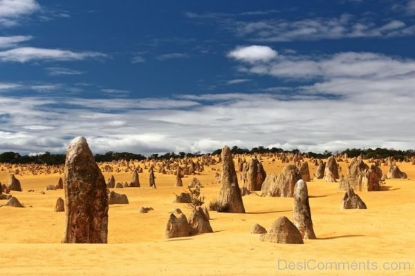 Desert Dry Landscape Nature