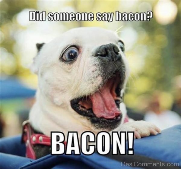 Did Someone Say Bacon