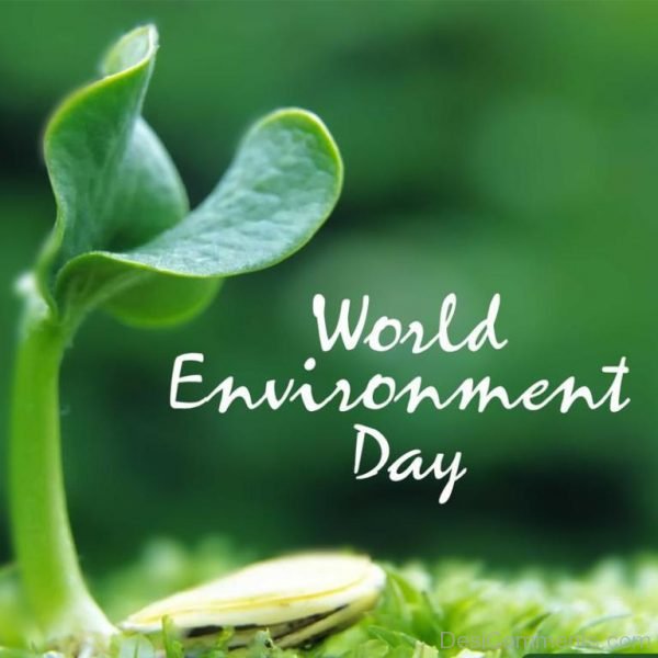 Elegant Pic Of World Environment Day