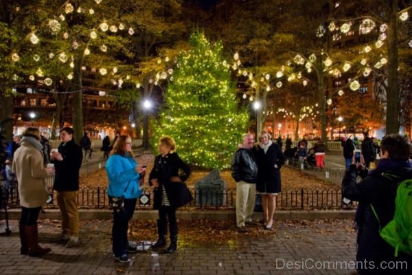 Excellent Christmas Tree Light Day Photo