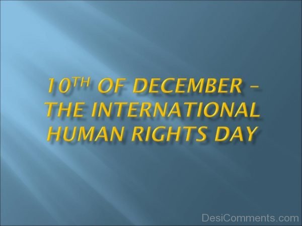 Excellent Pic Of Human Rights Day