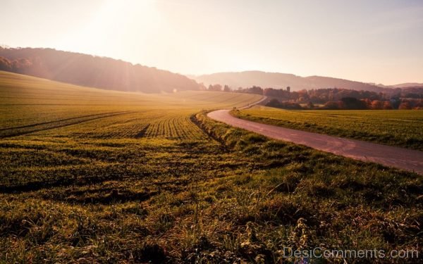 Field Grass Sunset Nature