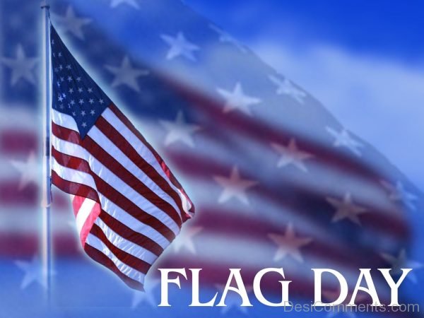 Flag Day Photo