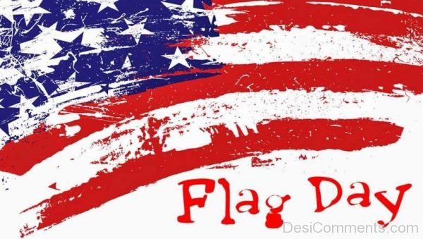 Flag Day Pic