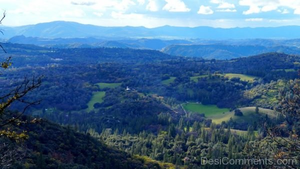 Forest View Landscape Mountain