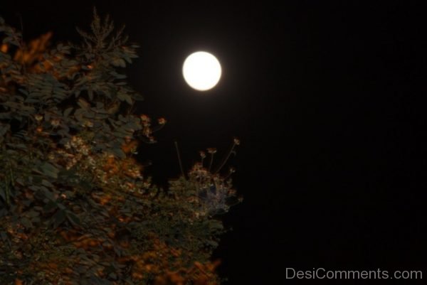 Full Moon Day Image