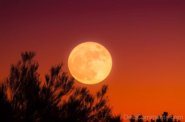 Full Moon Sky Night Sunset Dusk